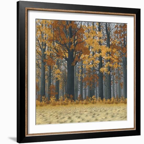 Autumn Wood-Timothy Arzt-Framed Art Print