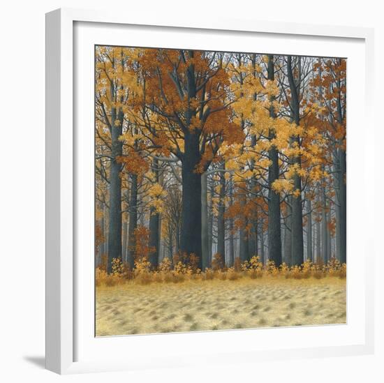 Autumn Wood-Timothy Arzt-Framed Art Print