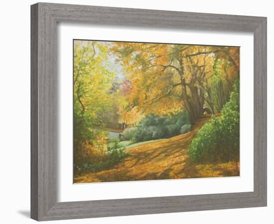 Autumn Woodlands, Kent, 2011-Peter Breeden-Framed Giclee Print
