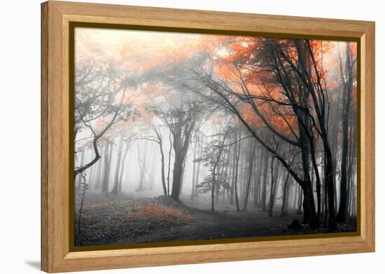 Autumn Woods-PhotoINC-Framed Premier Image Canvas