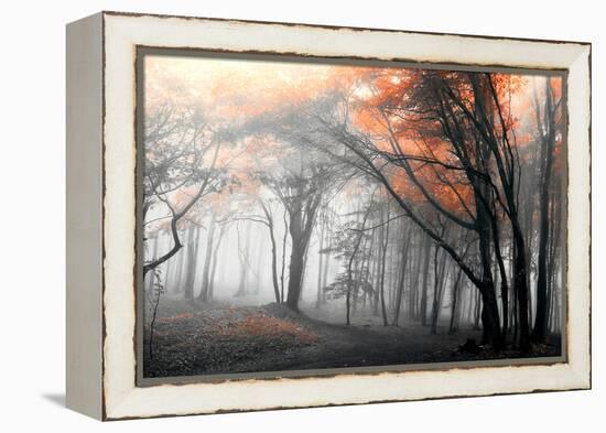 Autumn Woods-PhotoINC-Framed Premier Image Canvas