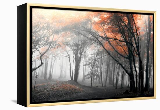 Autumn Woods-PhotoINC-Framed Premier Image Canvas