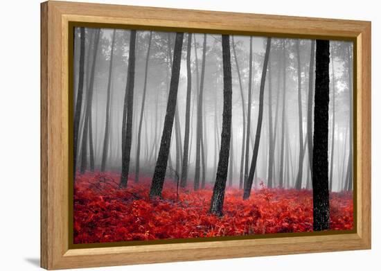 Autumn Woods-PhotoINC-Framed Premier Image Canvas