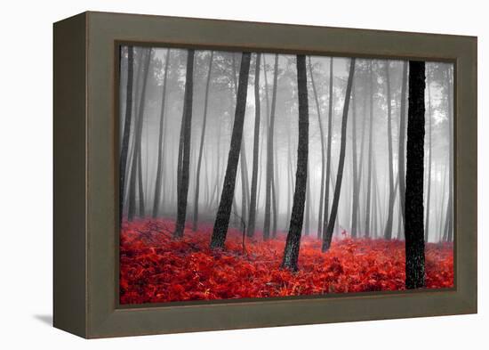 Autumn Woods-PhotoINC-Framed Premier Image Canvas