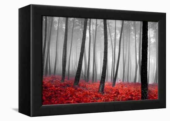 Autumn Woods-PhotoINC-Framed Premier Image Canvas