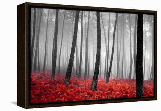 Autumn Woods-PhotoINC-Framed Premier Image Canvas