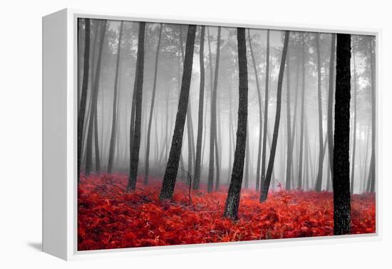 Autumn Woods-PhotoINC-Framed Premier Image Canvas