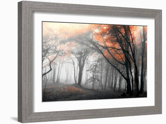 Autumn Woods-PhotoINC-Framed Photographic Print