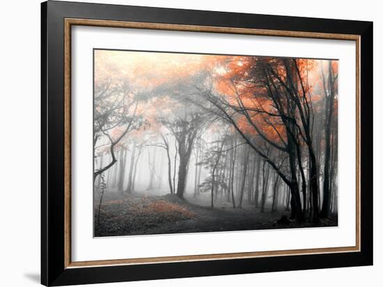 Autumn Woods-PhotoINC-Framed Photographic Print