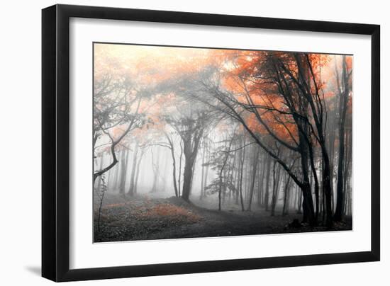 Autumn Woods-PhotoINC-Framed Photographic Print