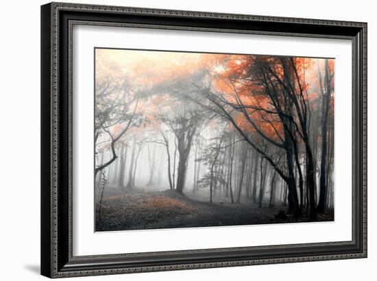 Autumn Woods-PhotoINC-Framed Photographic Print