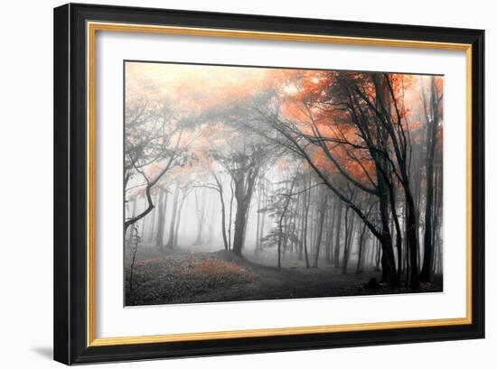 Autumn Woods-PhotoINC-Framed Photographic Print