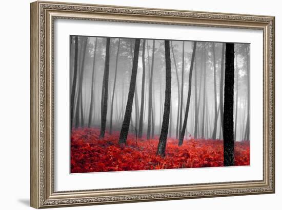 Autumn Woods-PhotoINC-Framed Photographic Print