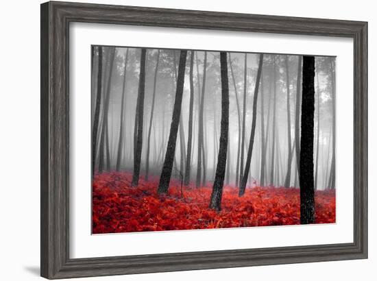 Autumn Woods-PhotoINC-Framed Photographic Print