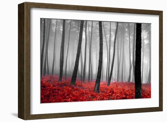 Autumn Woods-PhotoINC-Framed Photographic Print