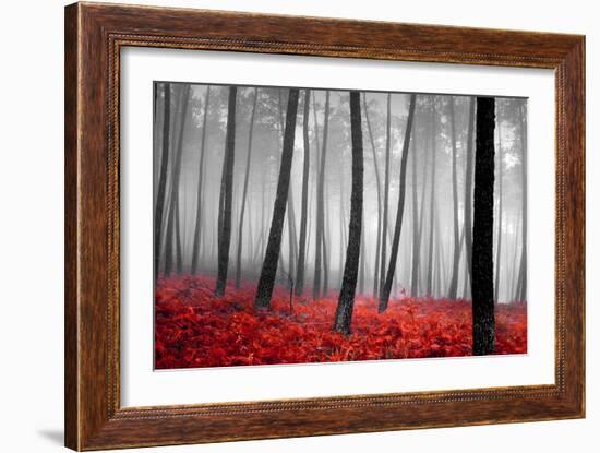 Autumn Woods-PhotoINC-Framed Photographic Print