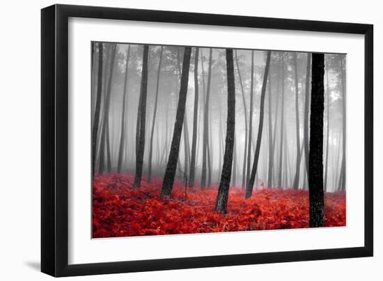 Autumn Woods-PhotoINC-Framed Photographic Print