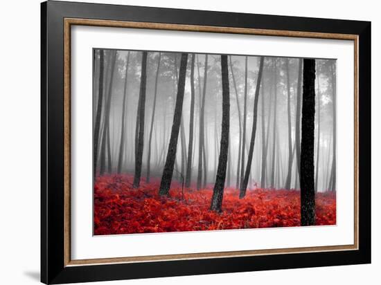 Autumn Woods-PhotoINC-Framed Photographic Print