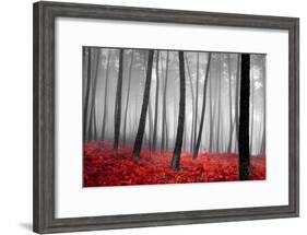 Autumn Woods-PhotoINC-Framed Photographic Print