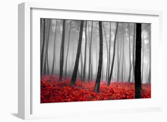 Autumn Woods-PhotoINC-Framed Photographic Print