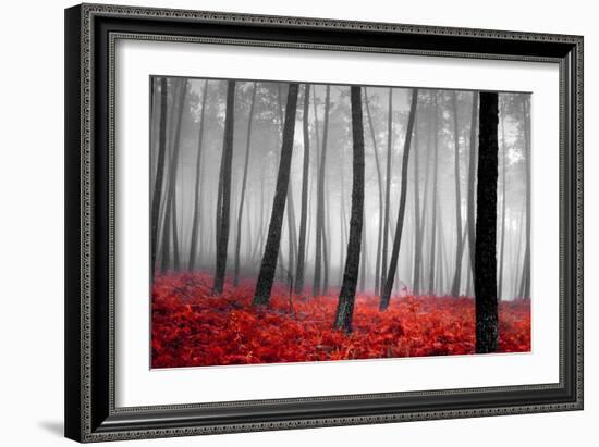 Autumn Woods-PhotoINC-Framed Photographic Print