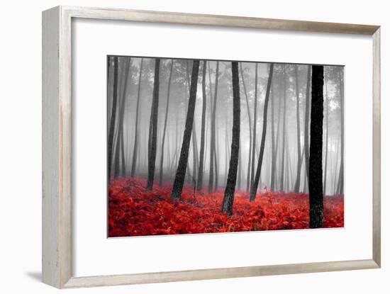 Autumn Woods-PhotoINC-Framed Photographic Print