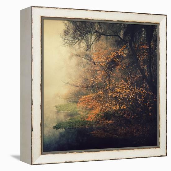 Autumn Woods-Philippe Sainte-Laudy-Framed Premier Image Canvas