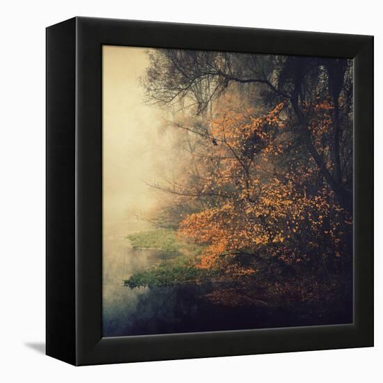 Autumn Woods-Philippe Sainte-Laudy-Framed Premier Image Canvas