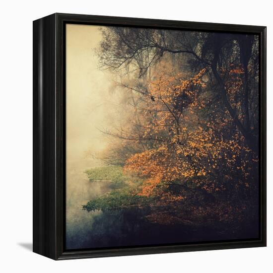 Autumn Woods-Philippe Sainte-Laudy-Framed Premier Image Canvas