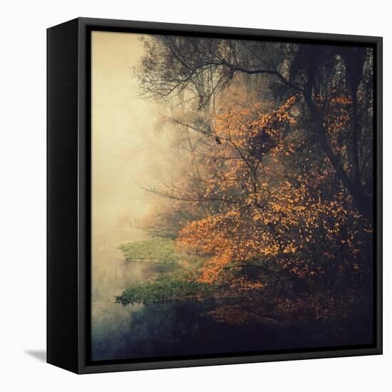 Autumn Woods-Philippe Sainte-Laudy-Framed Premier Image Canvas