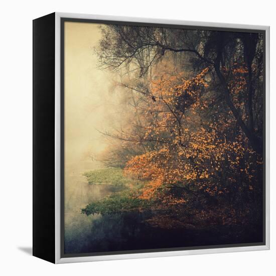 Autumn Woods-Philippe Sainte-Laudy-Framed Premier Image Canvas