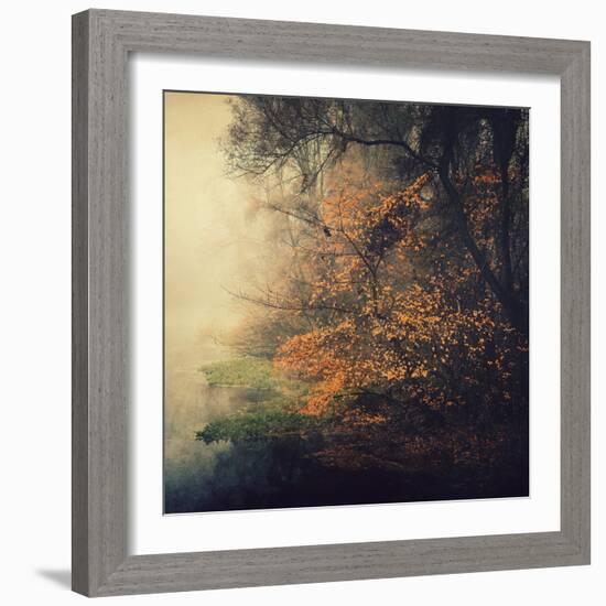 Autumn Woods-Philippe Sainte-Laudy-Framed Photographic Print