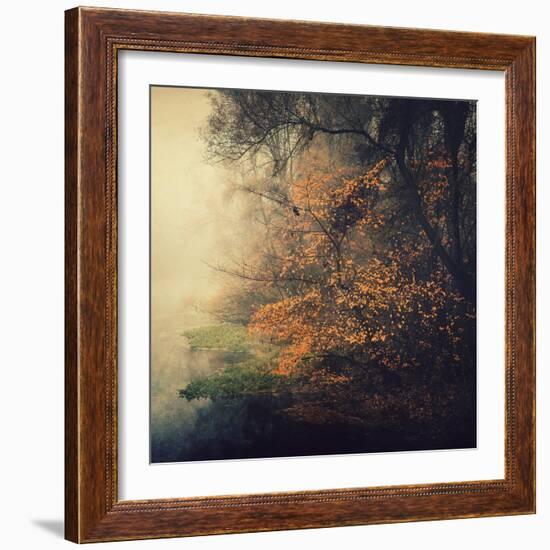 Autumn Woods-Philippe Sainte-Laudy-Framed Photographic Print