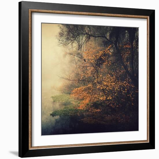 Autumn Woods-Philippe Sainte-Laudy-Framed Photographic Print