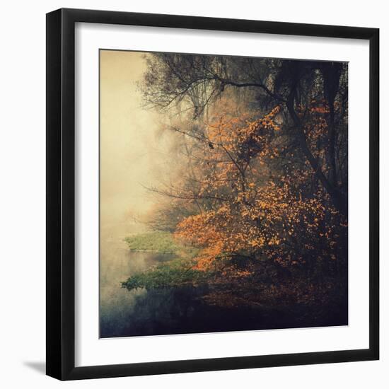 Autumn Woods-Philippe Sainte-Laudy-Framed Photographic Print