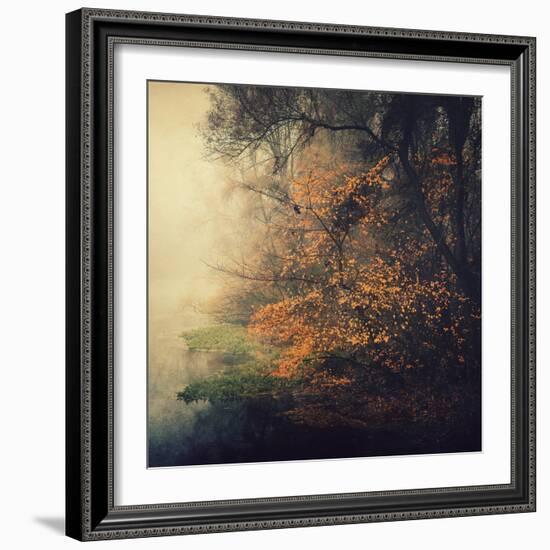 Autumn Woods-Philippe Sainte-Laudy-Framed Photographic Print