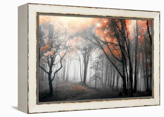 Autumn Woods-PhotoINC Studio-Framed Stretched Canvas