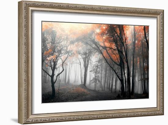 Autumn Woods-PhotoINC Studio-Framed Art Print