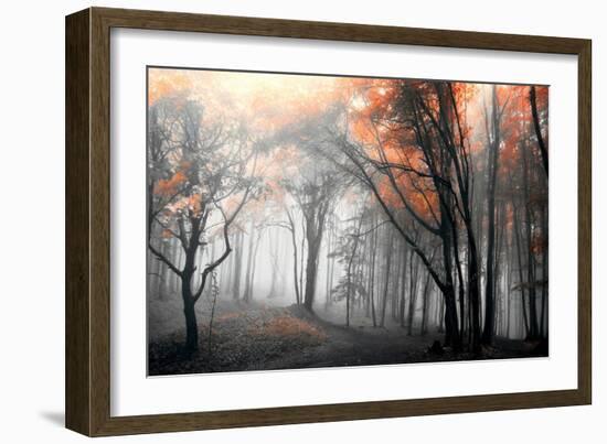 Autumn Woods-PhotoINC Studio-Framed Art Print