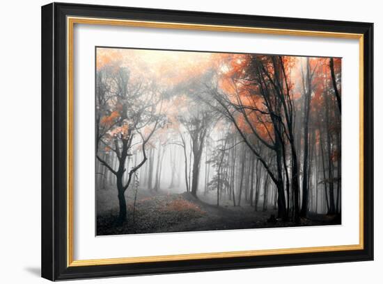 Autumn Woods-PhotoINC Studio-Framed Art Print