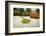 Autumn, Zen garden, Japanese garden, Portland, Oregon, USA-Panoramic Images-Framed Photographic Print