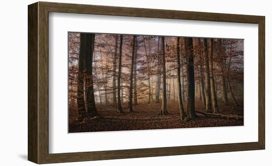 Autumn-null-Framed Art Print