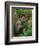 Autumn-Frederick Walker-Framed Giclee Print