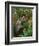 Autumn-Frederick Walker-Framed Giclee Print