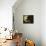 Autumn-Jan van Kessel-Framed Premier Image Canvas displayed on a wall