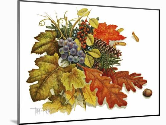 Autumn-Tim Knepp-Mounted Giclee Print