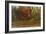 Autumn-Michael Budden-Framed Giclee Print