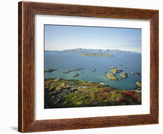 Autumnal Bloom, Senja Vewied from Sommeroy (Summer Isle), Near Tromso, Norway, Scandinavia-Dominic Webster-Framed Photographic Print