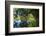 Autumnal Broad-Leaved Tree in the Lake-Falk Hermann-Framed Photographic Print