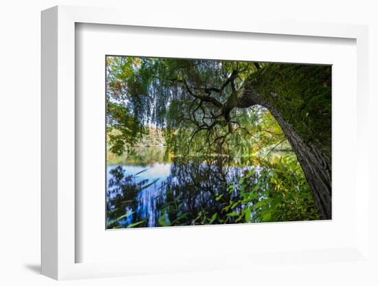 Autumnal Broad-Leaved Tree in the Lake-Falk Hermann-Framed Photographic Print